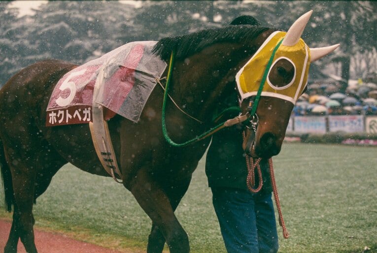 ホクトベガ　©BUNGEISHUNJU