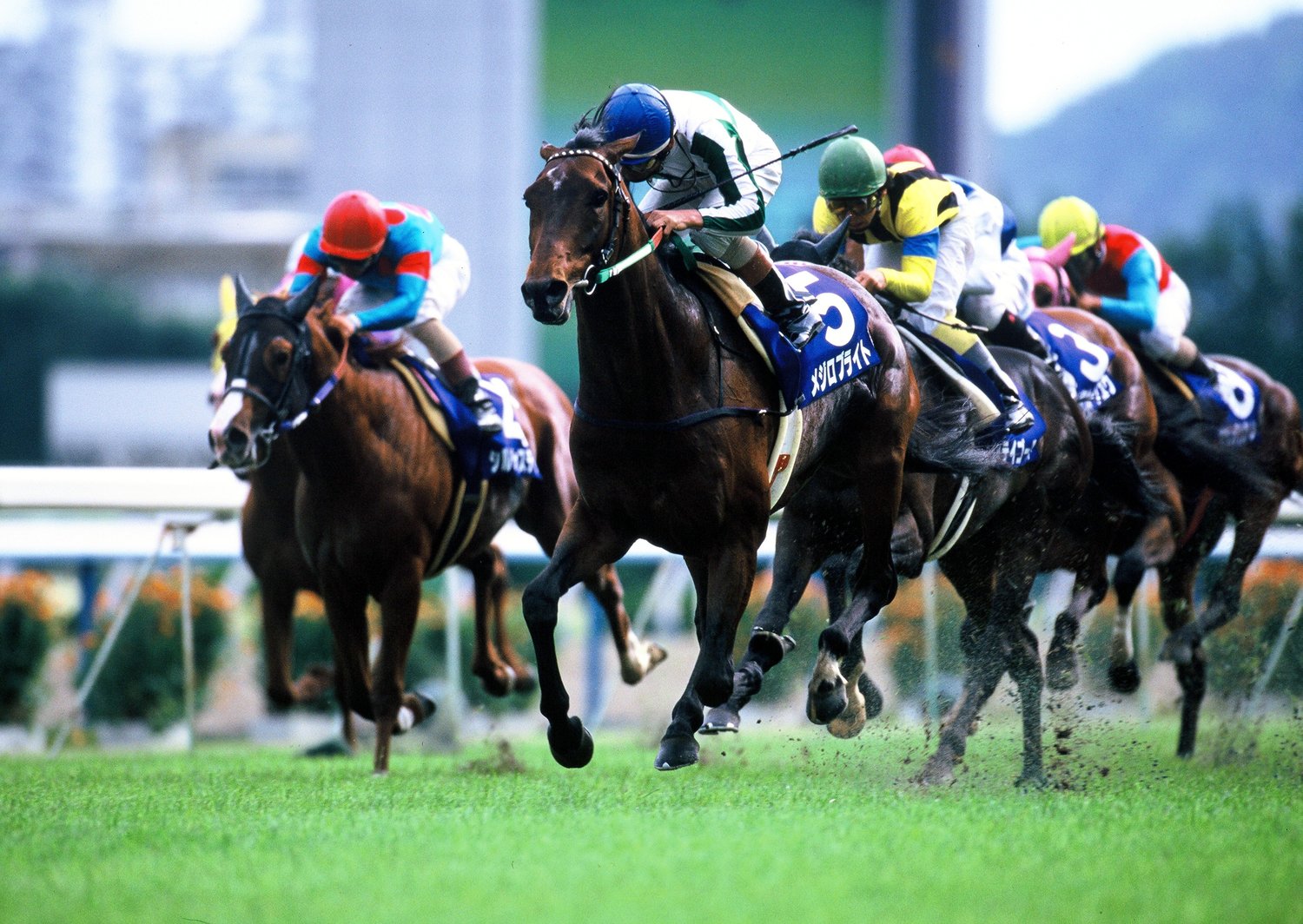 サイレンススズカの「伝説の毎日王冠」の同日に…セイウンスカイが京都大賞典で披露した「もうひとつの歴史的逃走劇」（2／3） - 競馬 - Number  Web - ナンバー