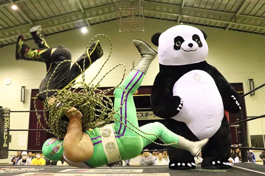DDTでササダンゴがパンダと激突！パワポの名手が語る“勝利”の定義。＜Number Web＞ photograph by DDT PRO-WRESTLING＆Norihiro Hashimoto