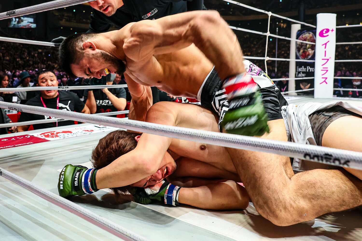 朝倉の顔面にパウンドを落とすシェイドゥラエフ。写真はレフェリーストップ間際 ©RIZIN FF Susumu Nagao