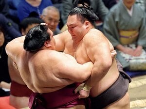 朝乃山「初場所で再々入幕の勝負師　星ひとつ二桁に届かず雪辱誓う」
