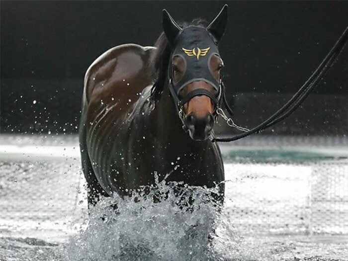 高松宮記念で父子制覇を狙う2頭。GI馬に初騎乗の藤田菜七子も注目。＜Number Web＞ photograph by Yuji Takahashi