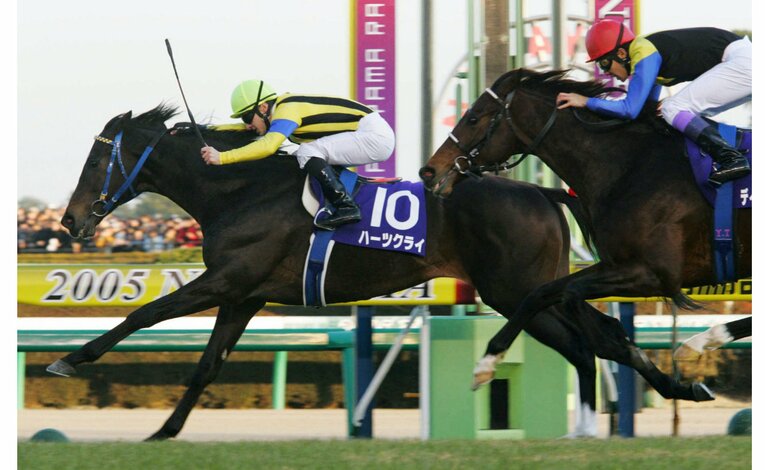 無敗のディープインパクトをハーツクライが破った瞬間　©KYODO