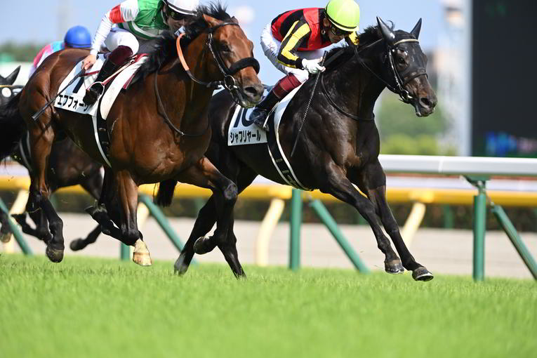 日本ダービー、最終直線の追い比べ　©Keiji Ishikawa