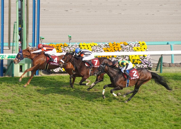 上位3頭全て出走する日経賞組