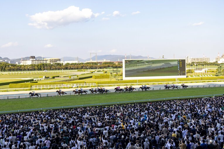 レースは序盤からセイウンハーデスがとばし、アスクビクターモアは2番手につけた