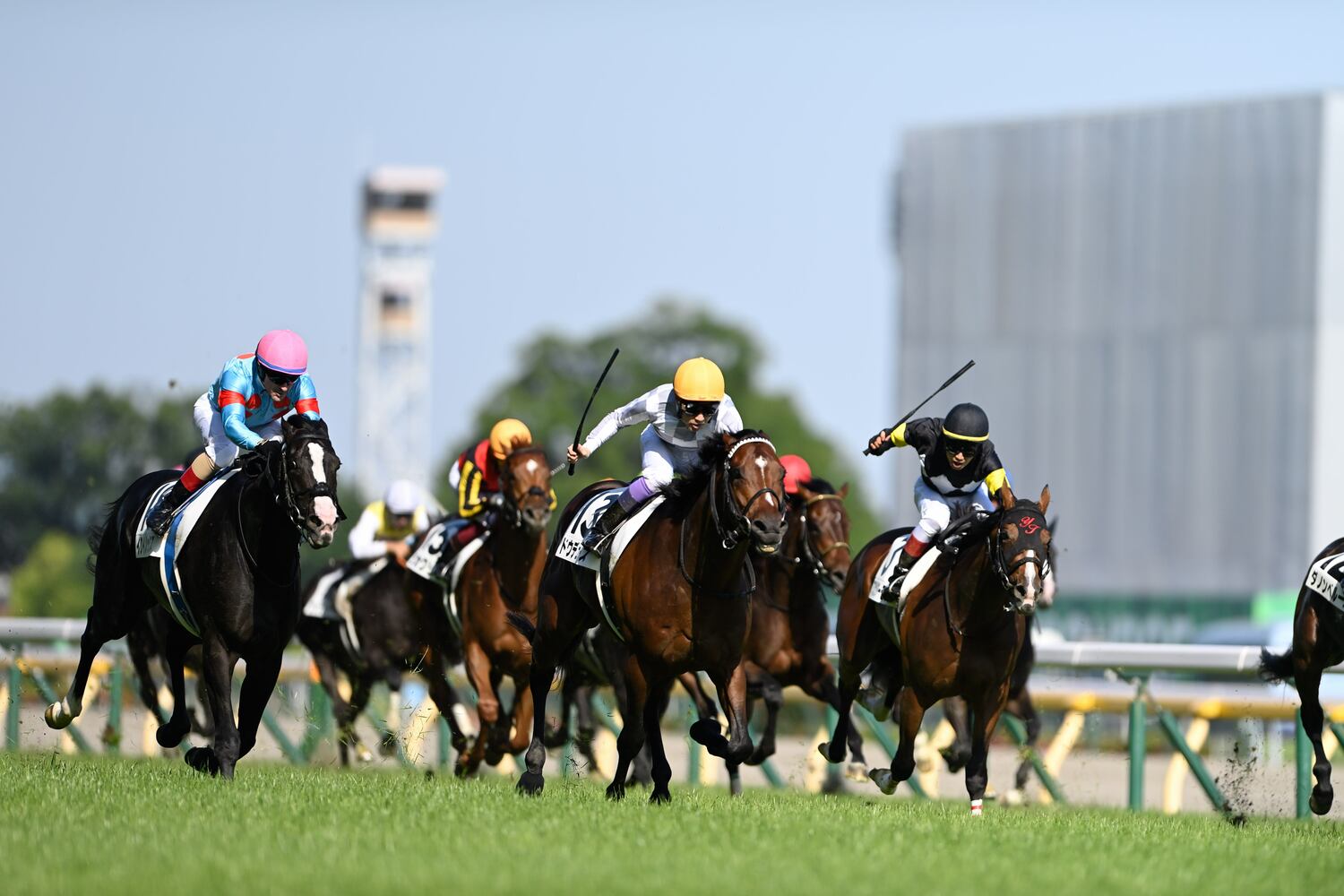 2022年の日本ダービーではドウデュース（中央）がイクイノックス（左）に先着