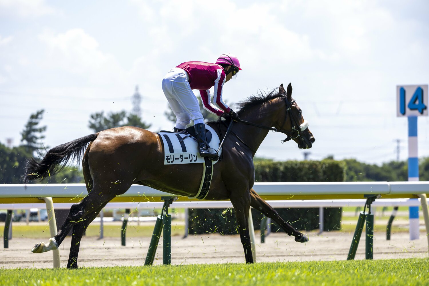 総代表とジョッキーの仕事は割り切って考えていたという戸崎。総代表就任後も福島開催での最多勝利騎手（福島リーディング）になるなど成績は引き続き好調　©Photostud