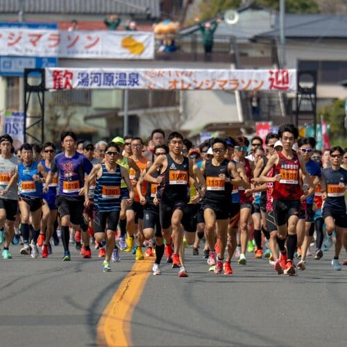 激坂なのに病みつき?湯河原オレンジマラソン2026攻略と全貌