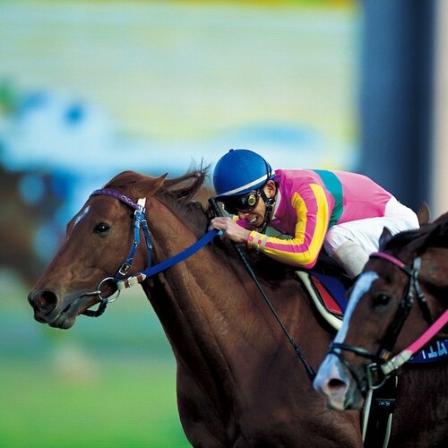 ☆ウマ娘馬券☆br/テイエムオペラオーbr/第123回天皇賞・春br/現地的中