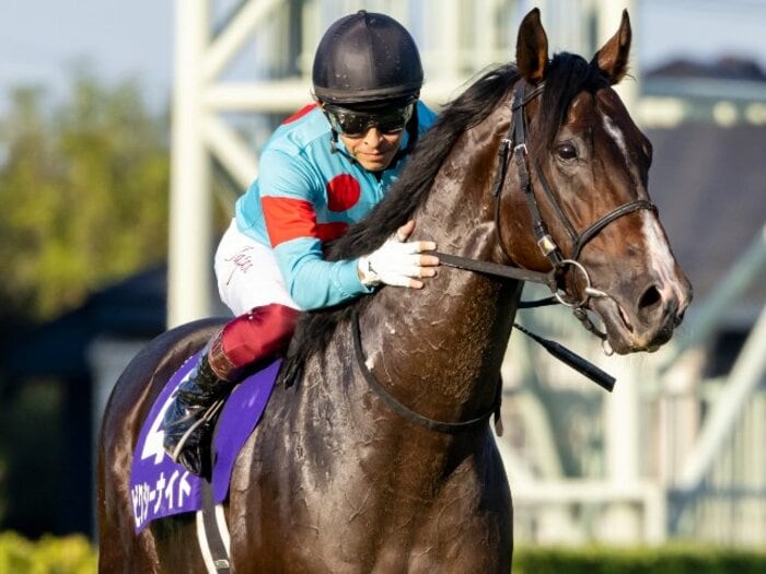 2頭が安楽死、福永祐一は鎖骨骨折…香港スプリントの“落馬事故”はなぜ起きたのか？ “わずか1秒半”の悲劇で、避けるのは不可能＜Number Web＞ photograph by Photostud