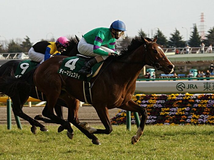 共同通信杯を前に振り返りたい、ディーマジェスティの“奇跡の血統”。＜Number Web＞ photograph by Satoshi Hiramatsu