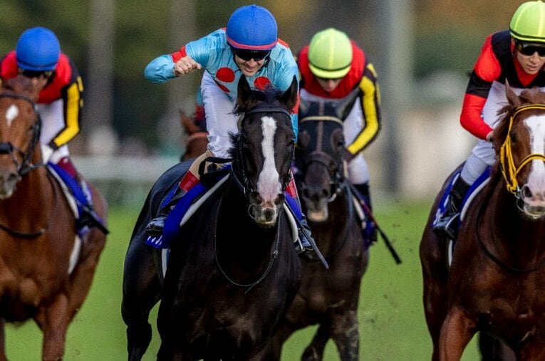 10月30日、天皇賞・秋で優勝し、GI初制覇となったイクイノックス ／ photograph by Photostud