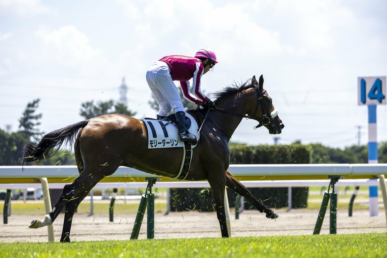 総代表とジョッキーの仕事は割り切って考えていたという戸崎。総代表就任後も福島開催での最多勝利騎手（福島リーディング）になるなど成績は引き続き好調　©Photostud