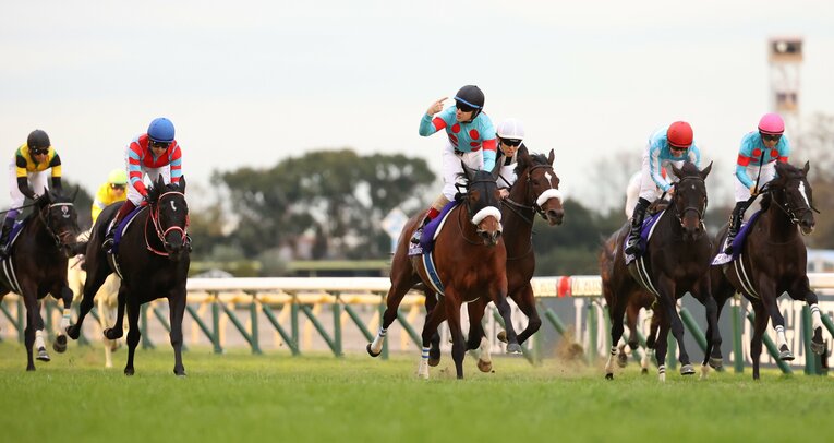 引退レースとなったジャパンカップ　©JIJI PRESS