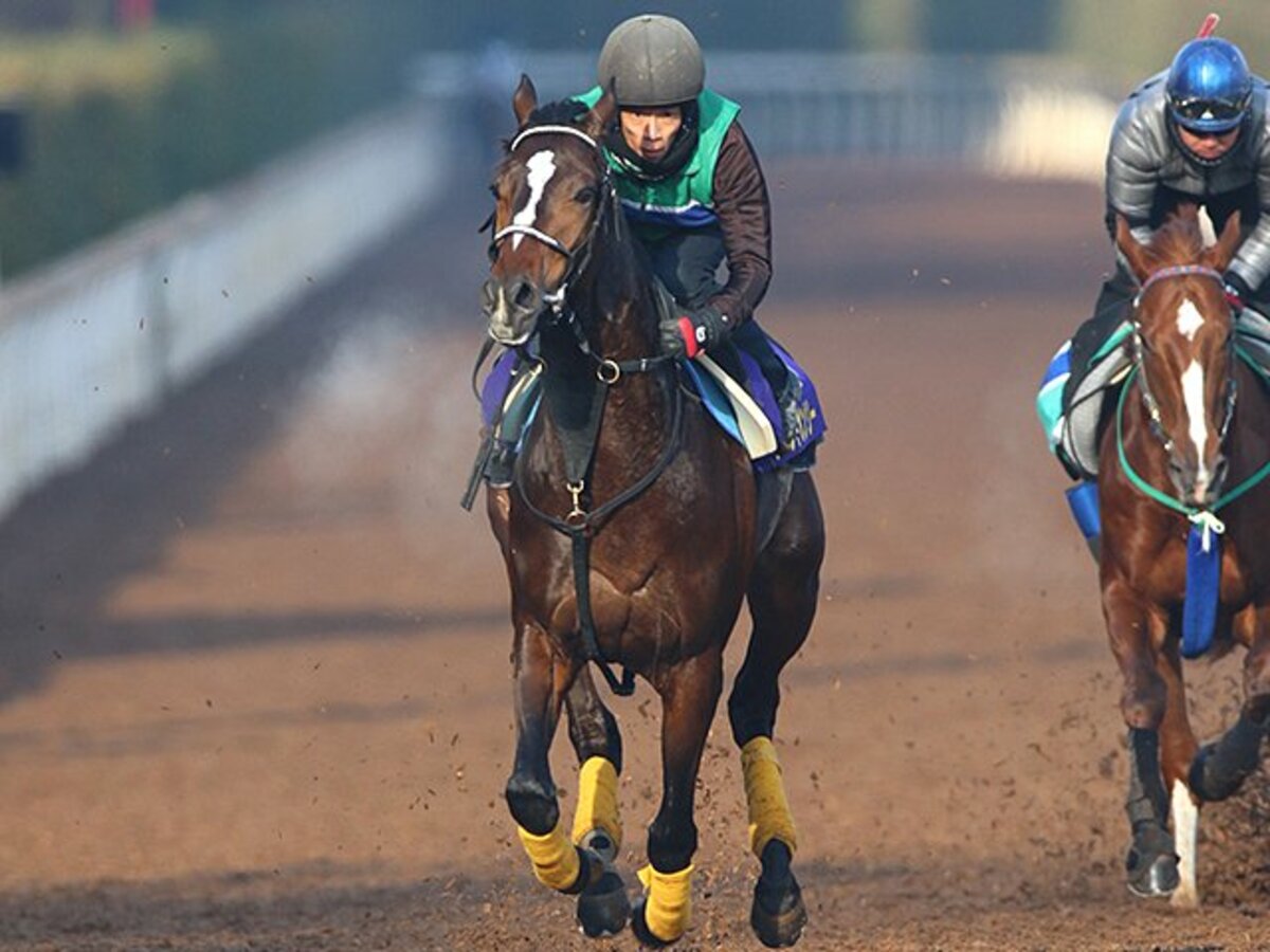 Gi馬10頭競演のグランプリ有馬記念 改造後の中山2500mの走り方とは 競馬 Number Web ナンバー