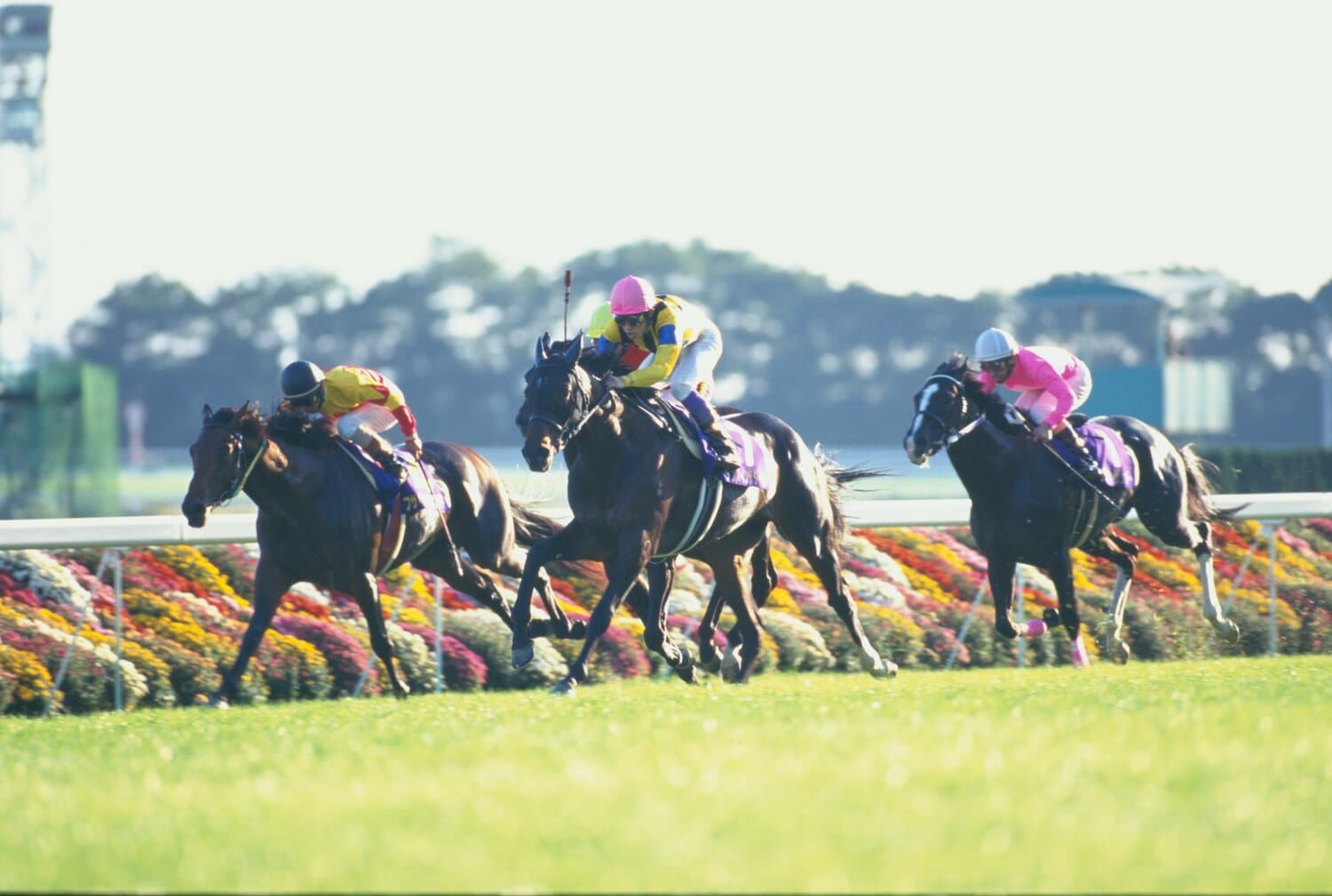 武豊を背に1996年の菊花賞を制したダンスインザダーク ©Tomohiko Hayashi