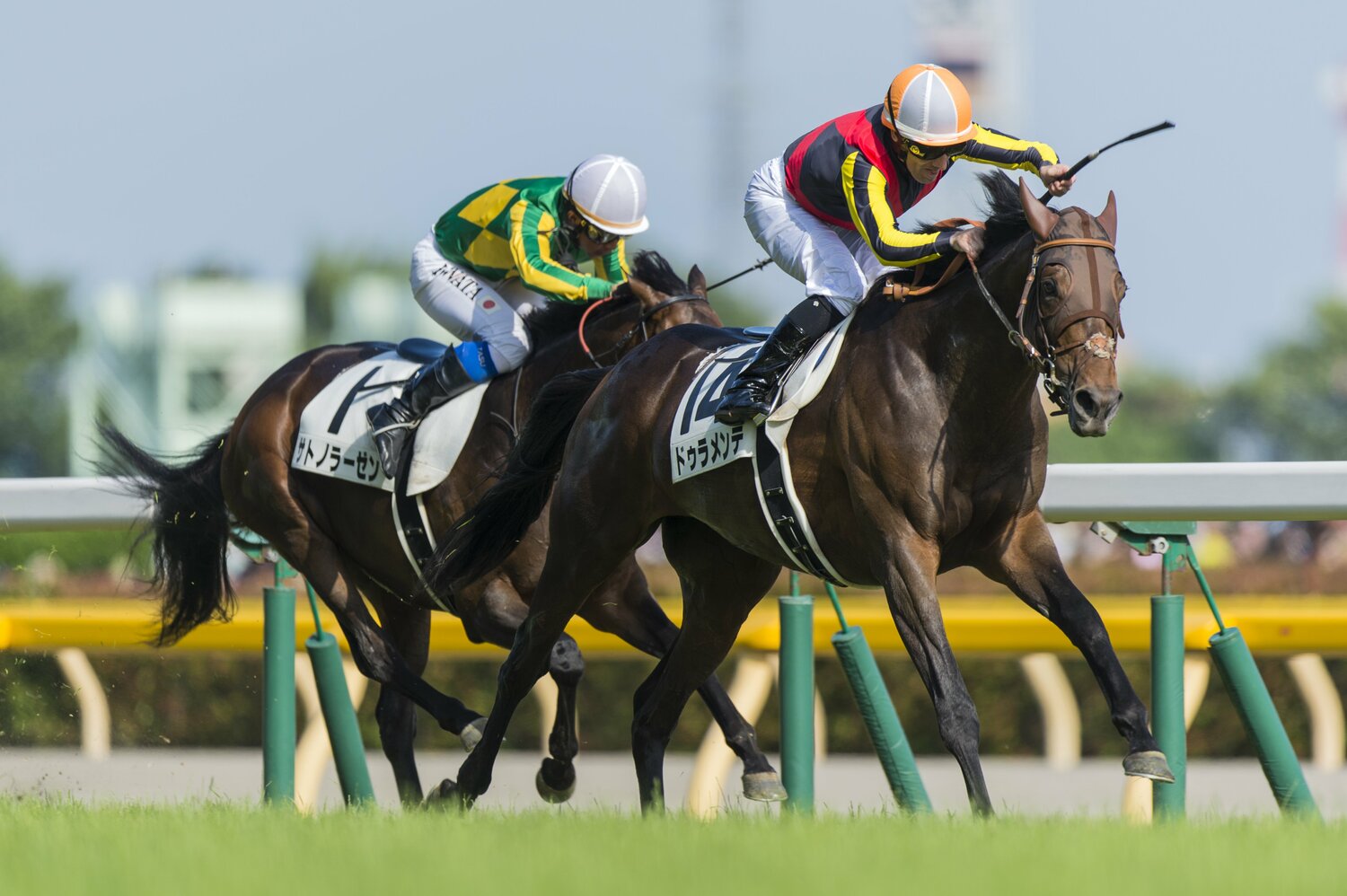 1着のドゥラメンテと2着のサトノラーゼン　©Takuya Sugiyama