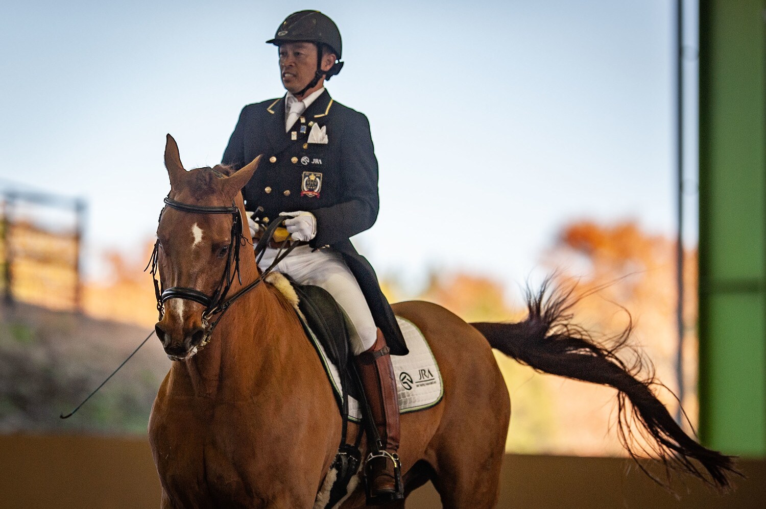 北原とホワイミーの演技（引退式にて）