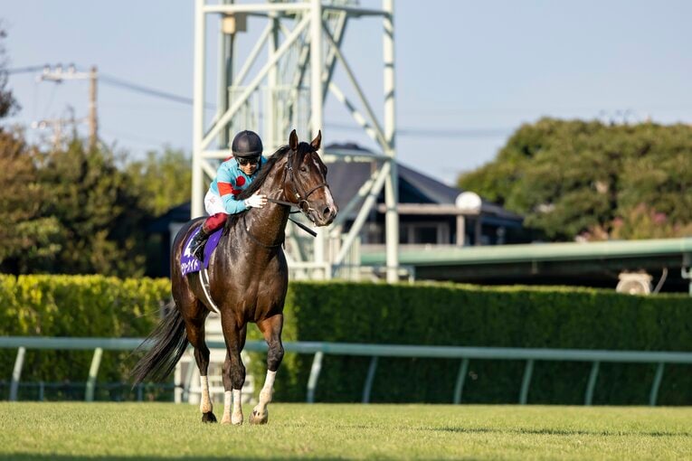 スプリンターズS制覇直後のピクシーナイトと福永祐一