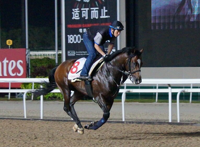 シンガポール遠征時のトウケイヘイロー