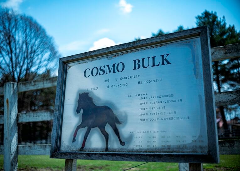 地方・ホッカイドウ競馬から中央競馬のクラシックに挑んだコスモバルク。2006年にシンガポールでGⅠ初制覇を果たした　©Takuya Sugiyama