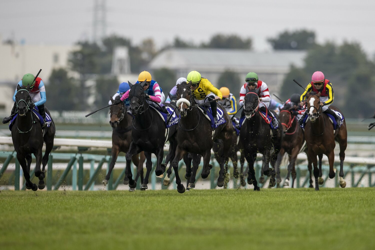 デムーロは「スムーズなレースだった」と振り返った