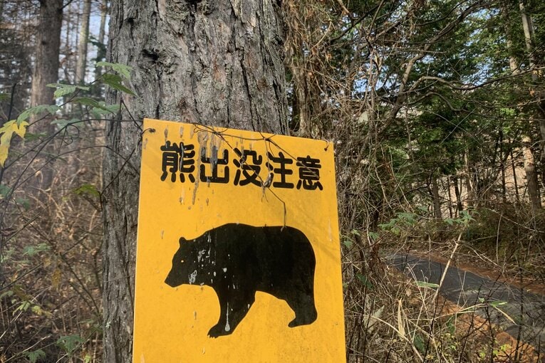 野球場などは郊外にあることも多く、意外と近隣でのクマ目撃情報も多い　©JIJI PRESS