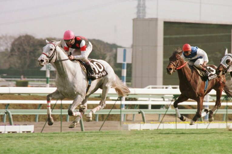 他馬より2キロ重い斤量を背負ってクロッカスSを快勝したスピードワールド。単勝オッズは1.1倍だった ／ photograph by Sankei Shimbun