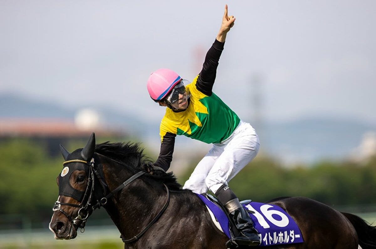 リアルバージョン 競走馬色紙イラスト JRA競馬 至高 - その他