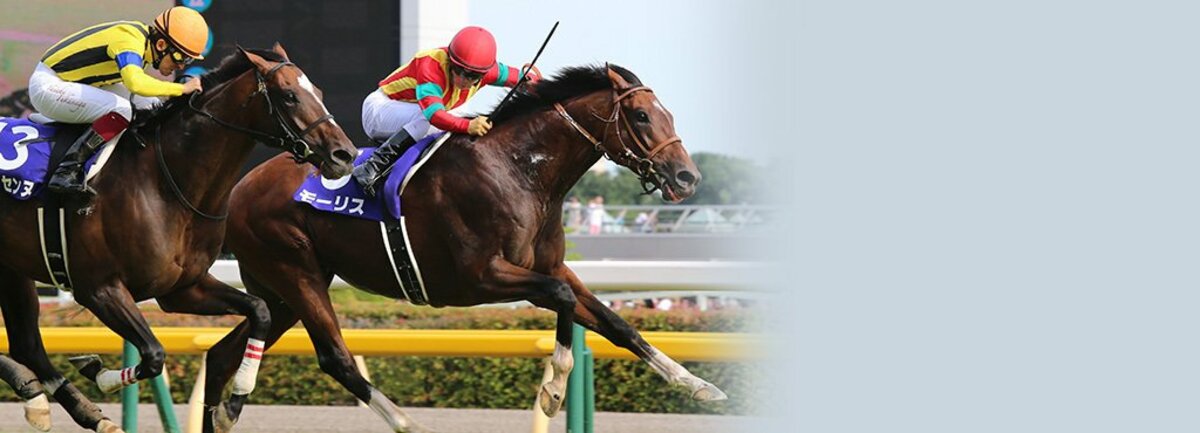 モーリス“出遅れず”で安田記念制覇。今年すでにGI4勝、快進撃続く堀