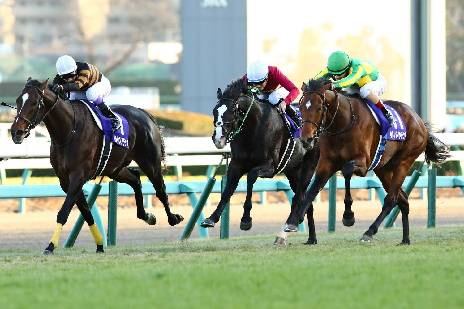 2016年の有馬記念でキタサンブラックを差し切り、優勝したサトノダイヤモンド　©AFLO