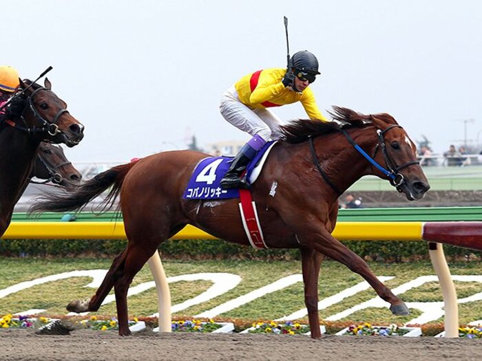 フェブラリーS連覇のコパノリッキー、歴代の名馬と共通する“ある行動”。<Number Web> photograph by Yuji Takahashi