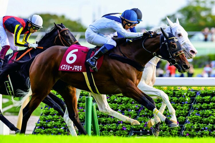 最強牝馬決定戦”エリザベス女王杯を制するのはどの馬か？ 古馬との初対戦に臨むスタニングローズ陣営の自信「経験の差はある。ただ…」（3／3） - 競馬  - Number Web - ナンバー