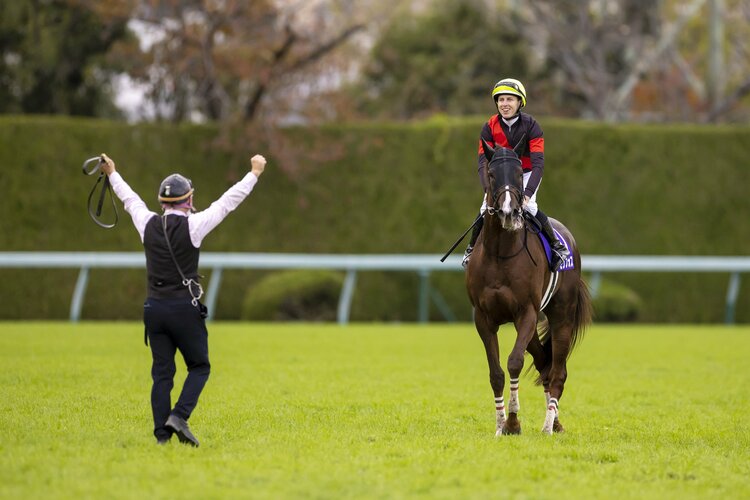 1頭だけ伸びが違う…マイルチャンピオンシップで突き抜けた3歳馬