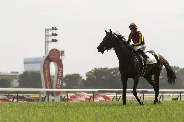第82回（2015年）日本ダービーを制したドゥラメンテとミルコ・デムーロ　©︎Takuya Sugiyama