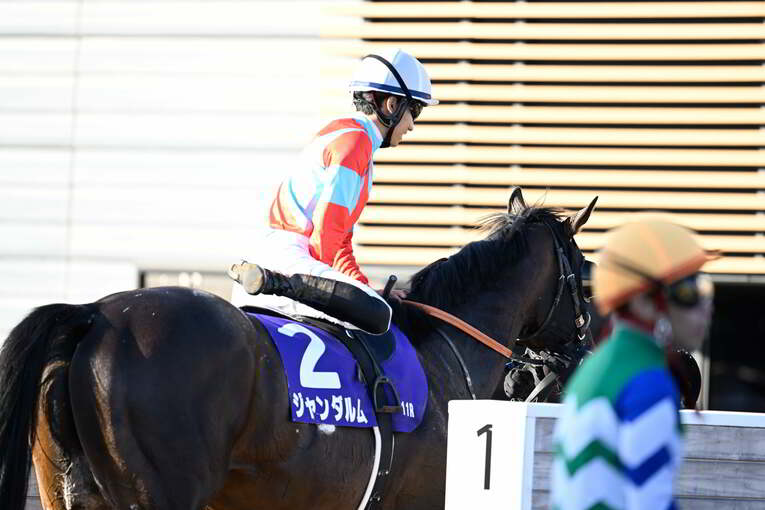 1番人気メイケイエールはなぜ不発に終わった？ 波乱のスプリンターズS、「すべての展開が味方した」ジャンダルムが生んだ“血のドラマ”(44)