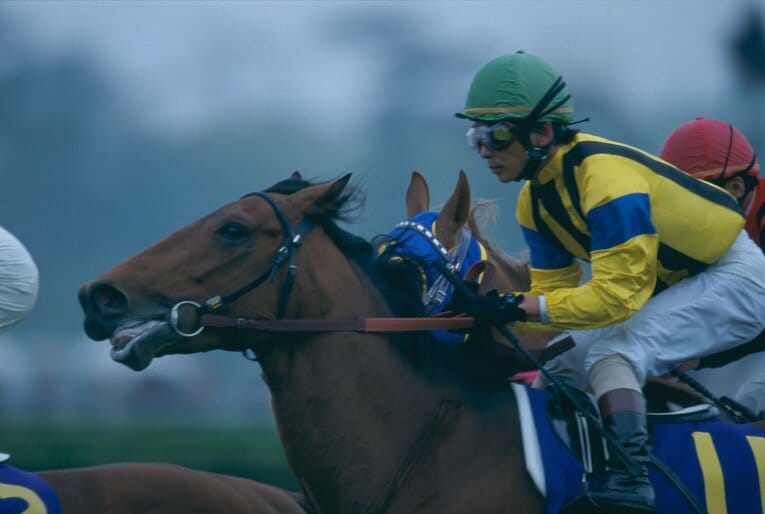 2003年の菊花賞を制したザッツザプレンティ　©Tomohiko Hayashi