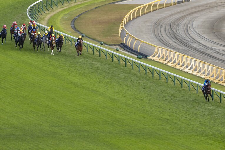 吉田の思い描いていた通りのレース運びで、天皇賞・秋2着に逃げ粘ったパンサラッサ　©Photostud