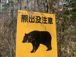「近くに出たら部活を続けるわけにはいかない」“クマ問題”が学生野球に与える大打撃…球場の近くにも出没で「生徒たちの将来が変わってしまう」