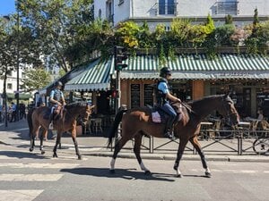 「公道を馬が歩いている！」パリ街中で遭遇した“馬が身近すぎる”驚きのフランス馬事情「馬糞を見るのも日常」「馬術の競技人口は日本の約100倍」