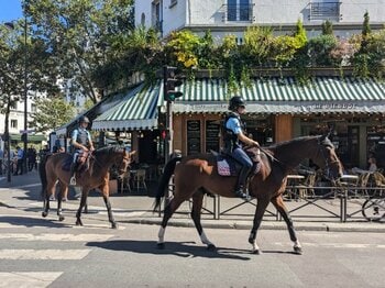 「公道を馬が歩いている！」パリ街中で遭遇した“馬が身近すぎる”驚きのフランス馬事情「馬糞を見るのも日常」「馬術の競技人口は日本の約100倍」＜Number Web＞ photograph by Yu Saito