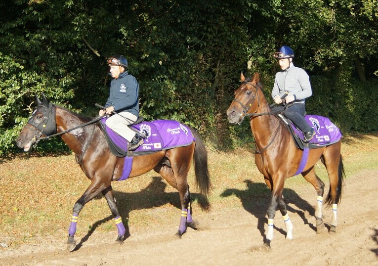 ルメールの兄弟子“ジャルネさん”（左）に協力を仰いだ現地での追い切りの様子