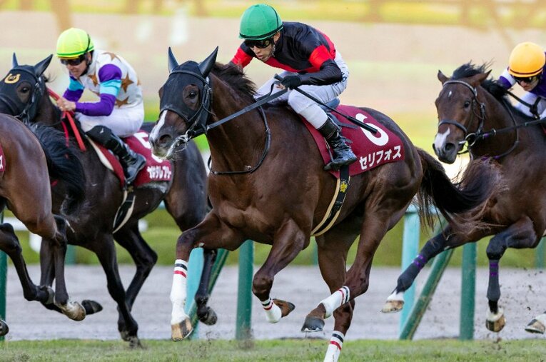 デイリー杯2歳Sを勝利したセリフォス。無傷の3連勝で朝日杯FSに挑む ／ photograph by Photostud