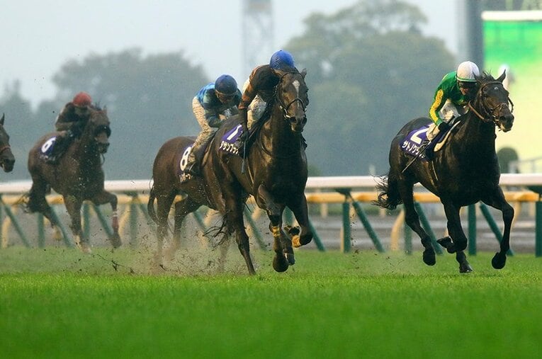 2017年、出遅れながら武豊の神騎乗で天皇賞春・秋連覇を果たしたキタサンブラック ／ photograph by AFLO