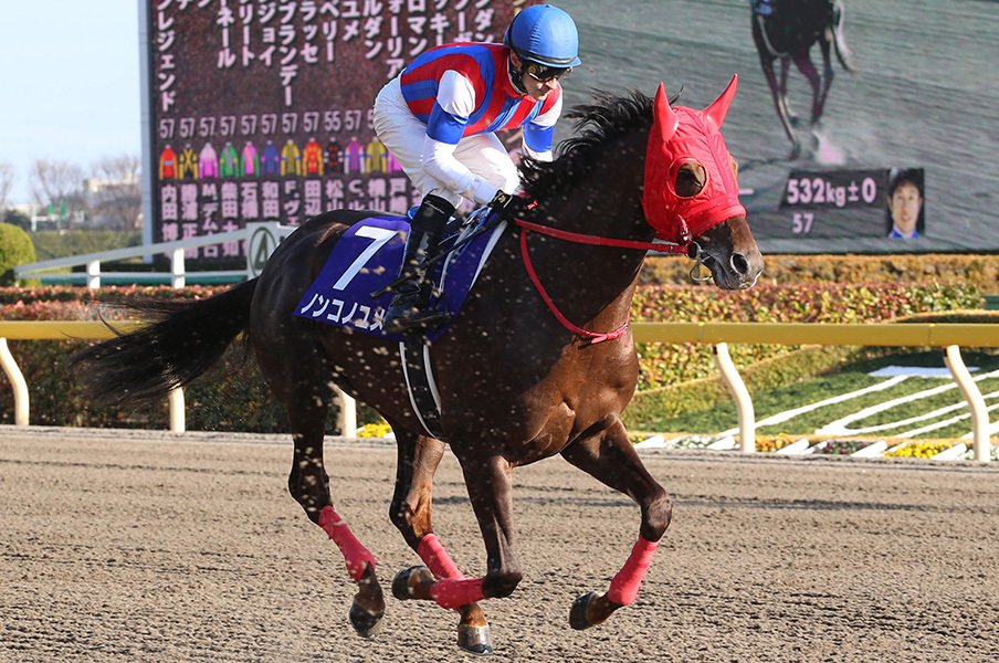 フェブラリーの本命は4歳か古豪か。崩れないノンコノユメの切れ味に◎。<Number Web> photograph by NIKKAN SPORTS