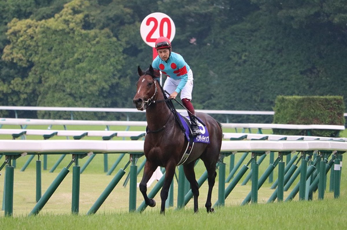 昨年は安田でアーモンドアイ撃破。インディチャンプはマイルで