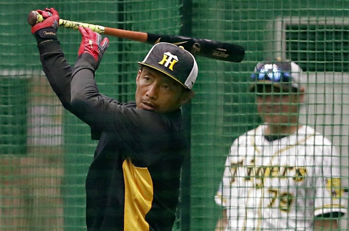 かわいい子供たちの画像 元の鳥谷敬 子供 関学