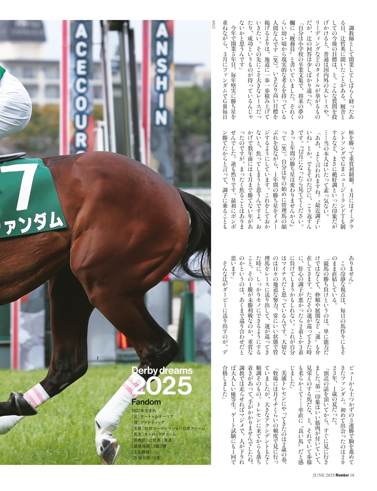 ファンダム「巡ってきた運をモノにする」