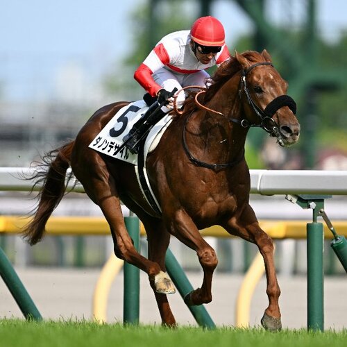 ダノンデサイルを徹底解剖 - Number Web - ナンバー